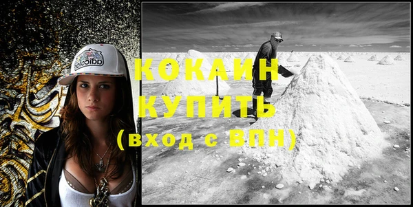 прущие грибы Осинники