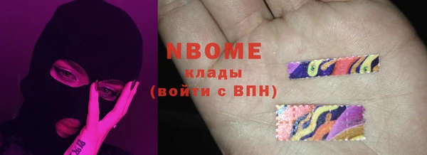 прущие грибы Осинники