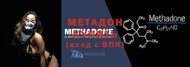 прущие грибы Осинники