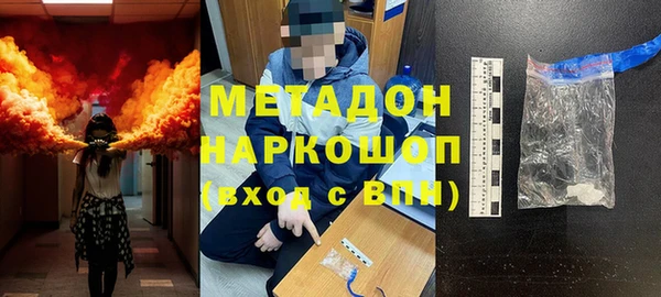 прущие грибы Осинники