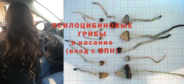 mdpv Остров