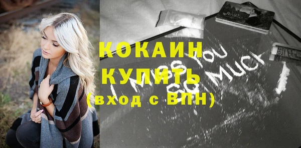 прущие грибы Осинники