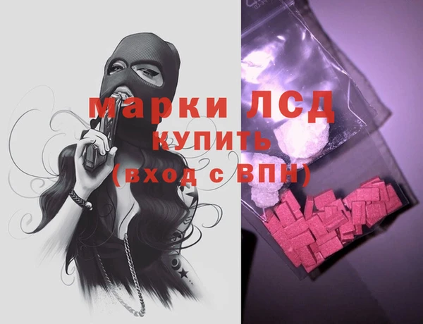 прущие грибы Осинники